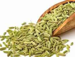 DR FENNEL SEED