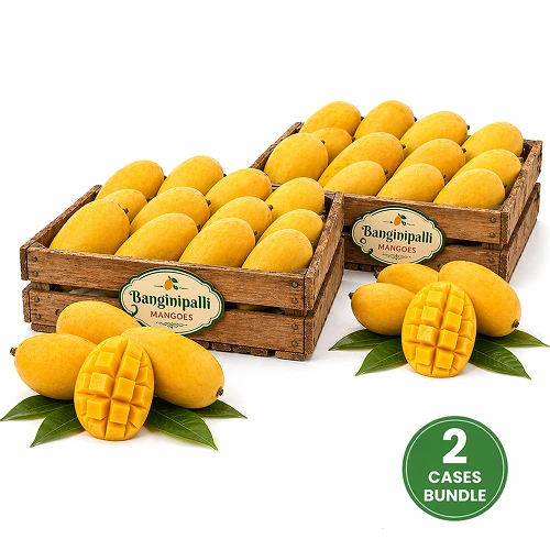 Fresh Banganapalli Mango 2 Case 16 20 Pcs 