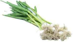 Green Garlic