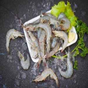 Tiny Shrimp Tray