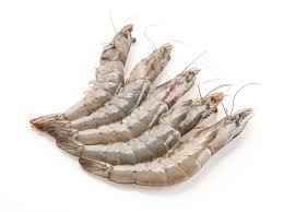 Raw Shrimp Block With Head