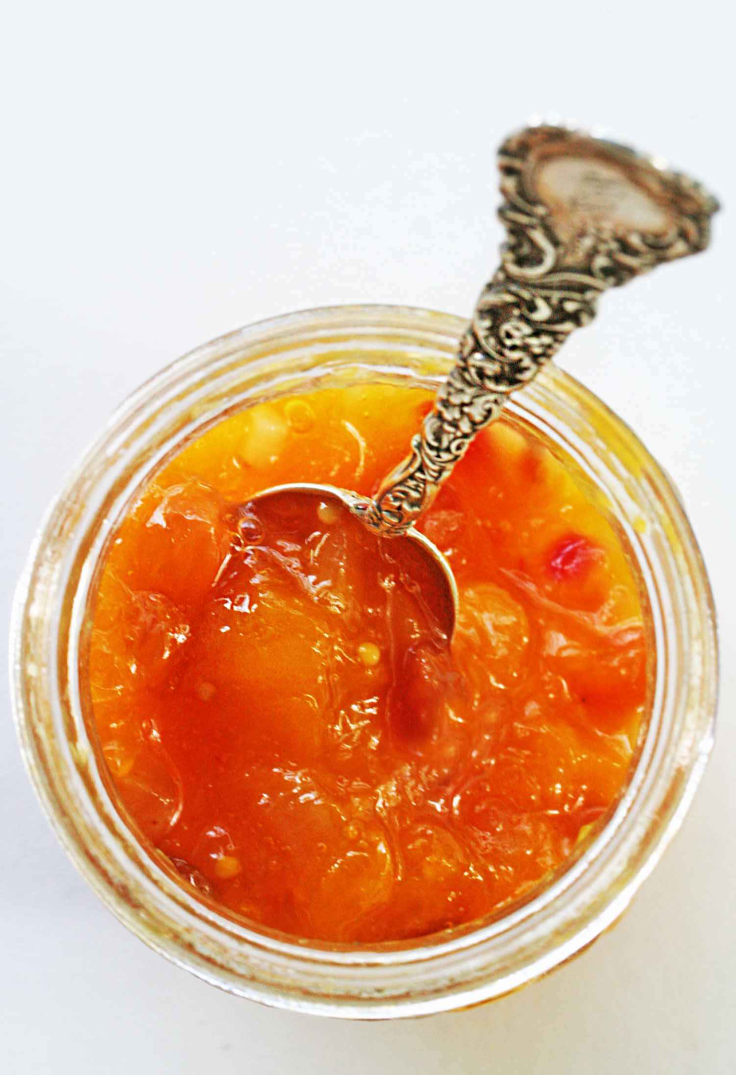 RAMDEV TASTY CHUTNEY 220 GM