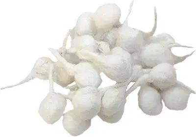 Cotton Vat (Bhatti)   Round Wicks