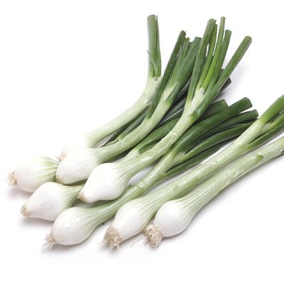 GREEN ONION 1 LBS