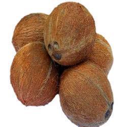 COCONUT DRY 1 LBS