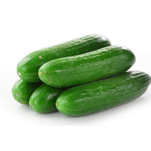 CUCUMBER 1 LBS