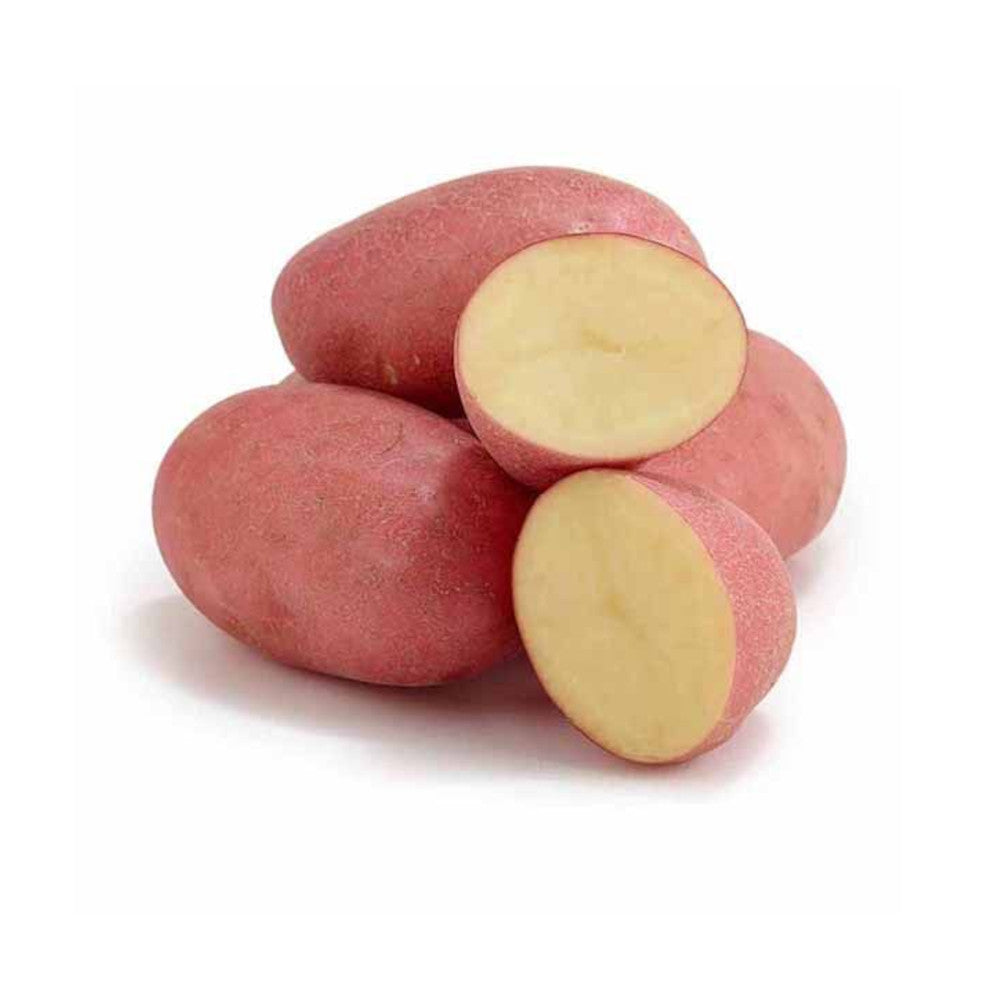RED POTATO 1 LBS
