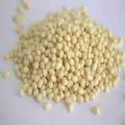 Swad Urad Gota 7 LBS