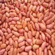SWAD KIDNEY BEANS LIGHT 7 LBS