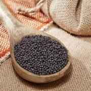SWAD MUSTARD SEEDS 28 OZ