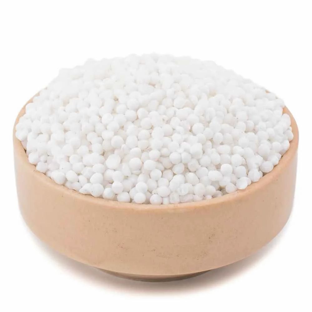 RAGHAV NYLON SABUDANA 453 GM