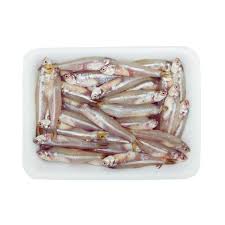 Fish Keski Trey 200gm 4 LBS