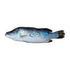Fish Koral 5kg 2 LBS