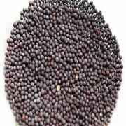 DEEP MUSTARD SEED 7 OZ