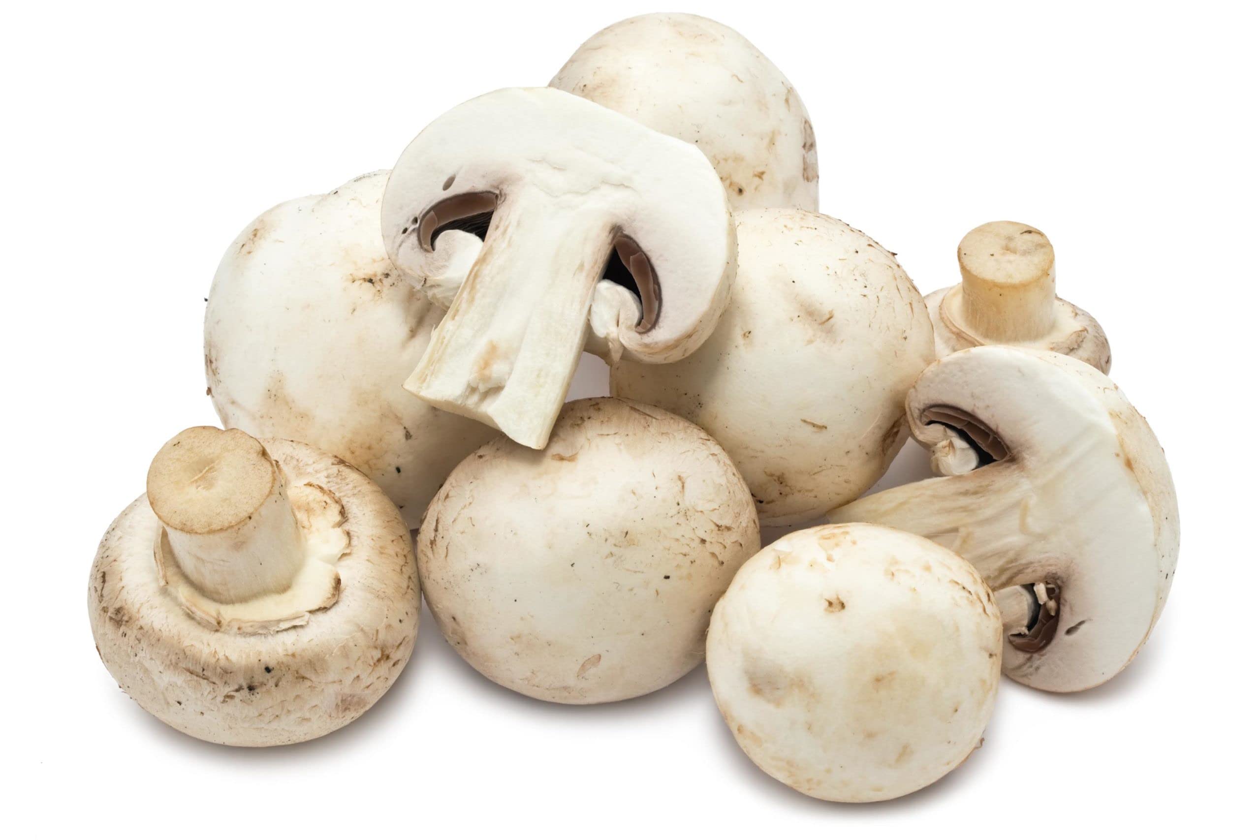 MUSHROOM 1 LBS