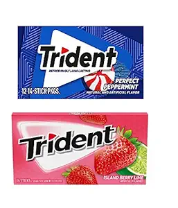 Trident Mint Bliss 14 PCS