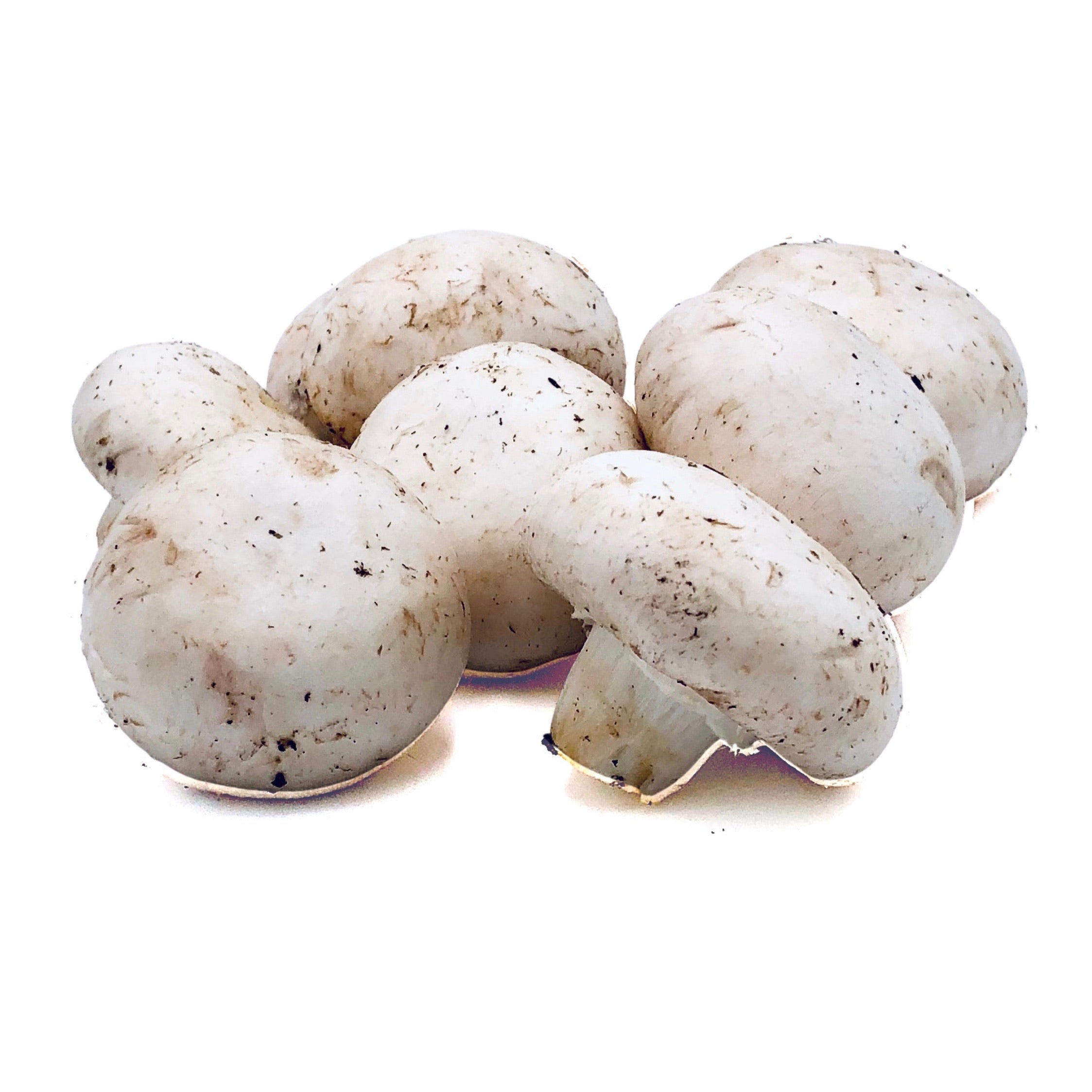 FRESH MUSHROOM WHOLE 16 OZ