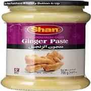 SHAN GINGER PASTE 700 GM