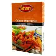 SHAN CHINESE MANCHURIAN MIX 40 GM