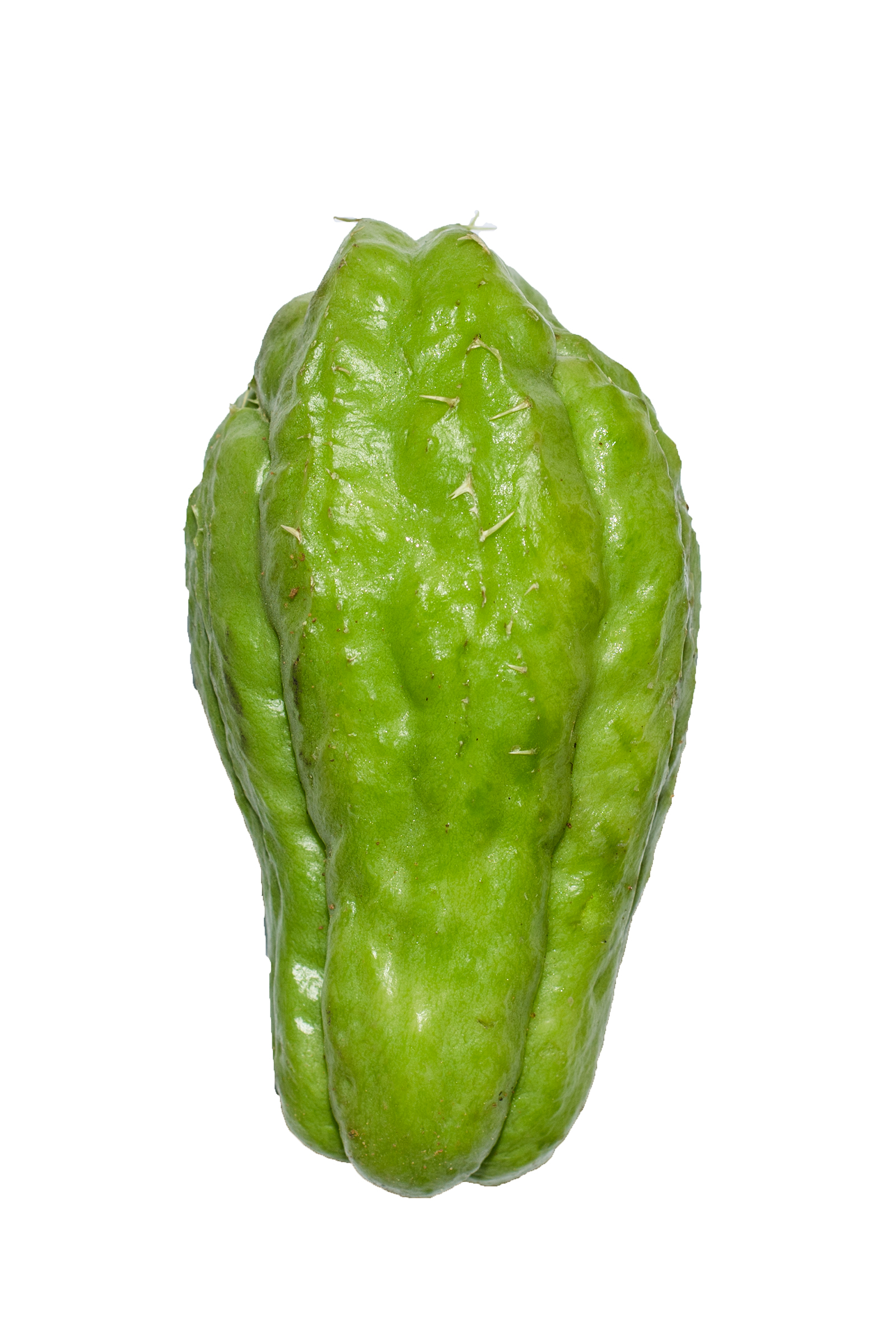Chayote 1 LBS