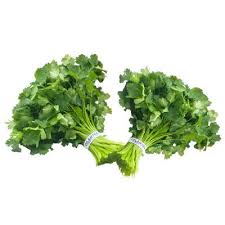 Cilantro 1 Bunch