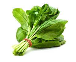 Fresh Spinach 1 BUNCH