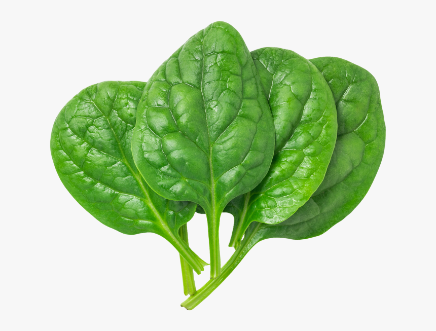 Poi Leaves 1 LBS