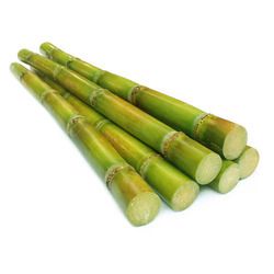 Sugarcane 1 LBS