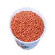 Masur Dal 2 LBS