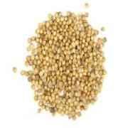 Corriander Seeds 8 OZ