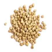 Chickpeas 2 LBS