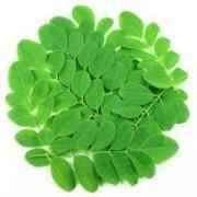 Moringa Leaves 100 GM