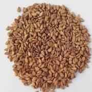 Brown Saseme Seed 84 GM