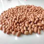 AARA RAW PEANUTS SPANISH 800 GM