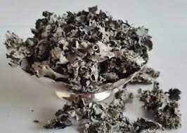 Gazab Dagad Phool 100 GM