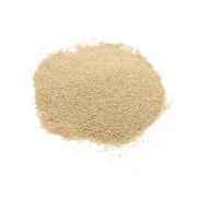 Gazab Dried Yeast 100 GM