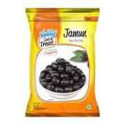 Vadilal Jamun 312 GM