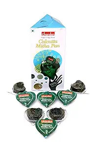 CHANDAN CALCUTTA MITHA PAN 90 GM