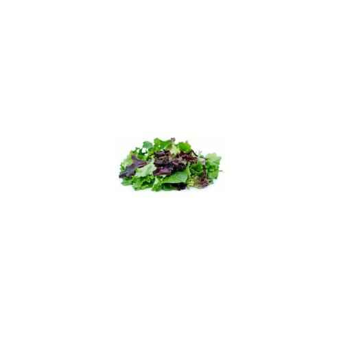 ORGANIC SPRING MIX 142 GM