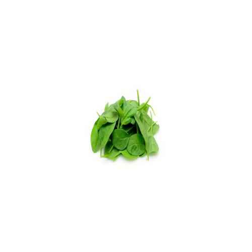 ORGANIC  SPINACH 5 OZ