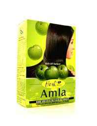 Hesh Amla Powder 100 GM