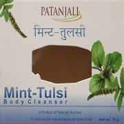 PATANJALI MINT TULSHI 75 GM