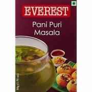 Ever Panipuri Masala 100 GM