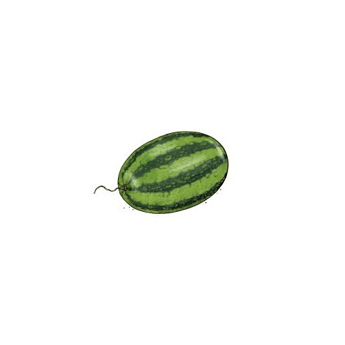WATERMELON 1 LBS