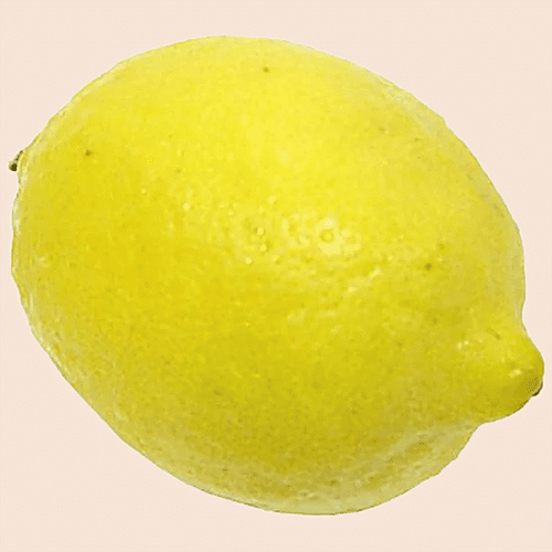 LEMON 1 EACH