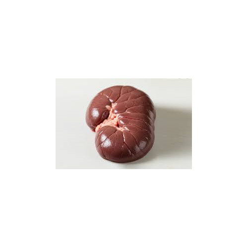 BEEF KIDNEY 1 LBS