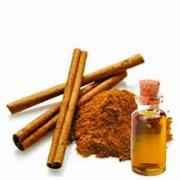 Ashwin Cinnamon Oil 20 ML