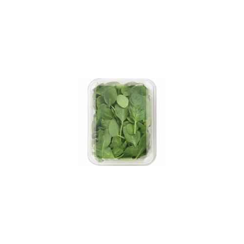 ORGANIC BABY SPINACH 5 OZ