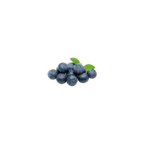 BLUEBERRIES 1 PACK