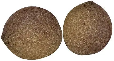 Nirav Dry Coconut (Whole)  